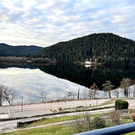 Apartament Neuf Vue 6/8pers Gérardmer