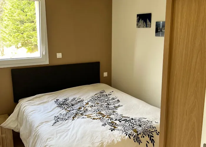 Neuf Vue 6/8pers Gérardmer